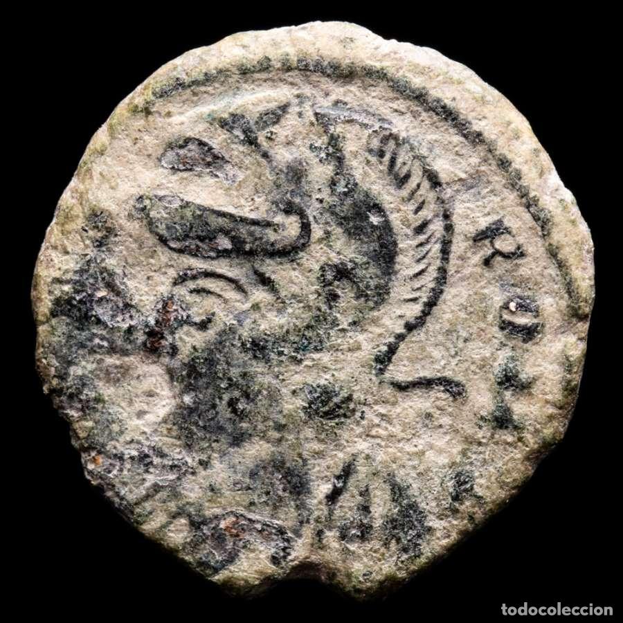 Monedas Imperio romano: URBS ROMA Follis de Trier Loba, Romulo y Remo ✩ Palma ✩ (4537)
