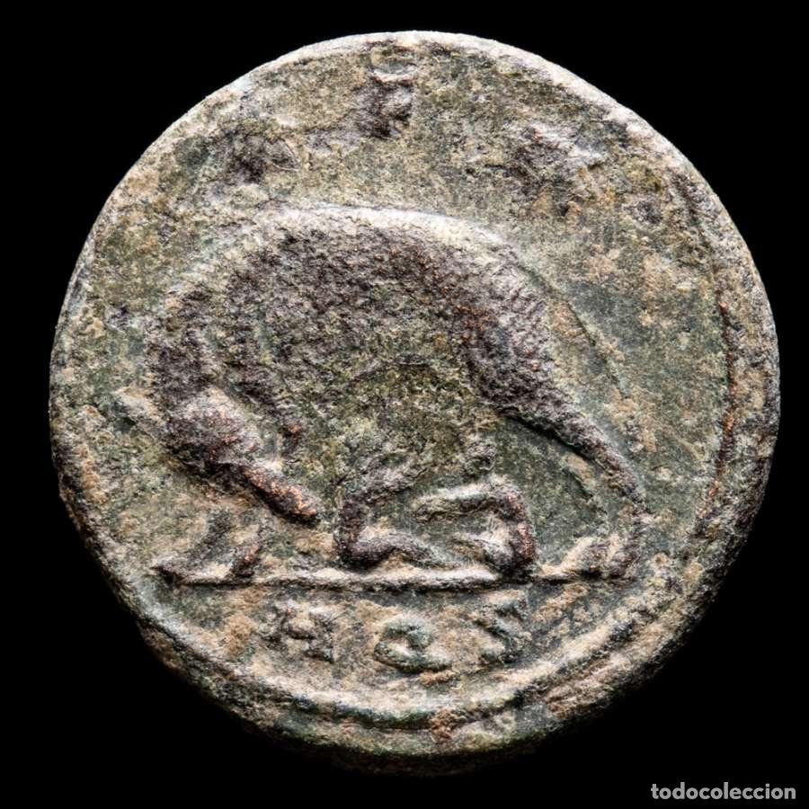 Monedas Imperio romano: URBS ROMA Follis, Aquileia - Loba, Romulo y Remo ✩F✩ (4538)