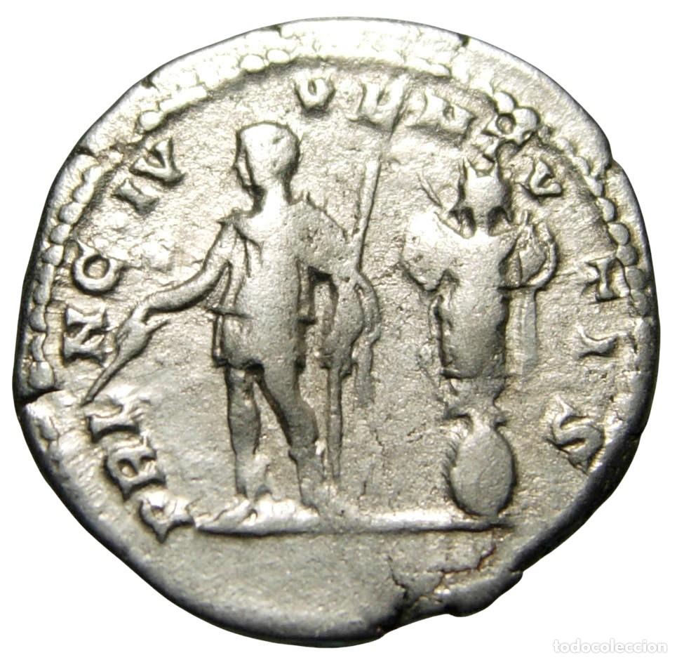 Monedas Imperio romano: Geta AR Denarius (209-212 dC), PRINC IVVVENTVTIS - Foto 2