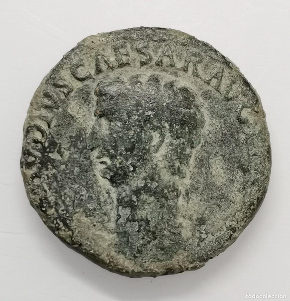 Monedas Imperio romano: CLAUDIO I - AS - IMITACI&Oacute;N HISP&Aacute;NICA - MINERVA - (S.I d.C.)