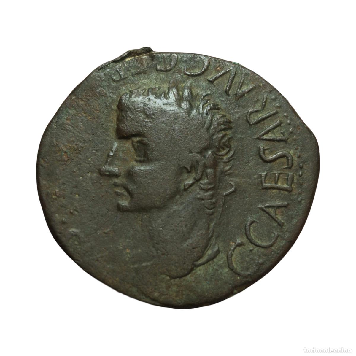 Monedas Imperio romano: NT/ AS IBERORROMANO CALIGULA SEGOBRIGA (A1690)