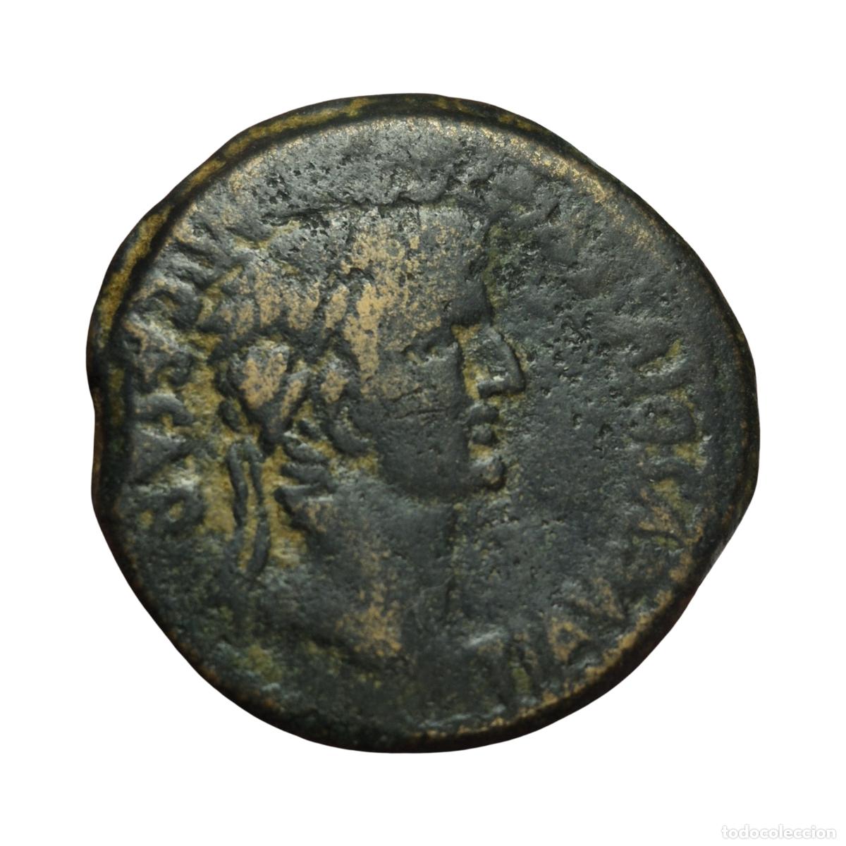 Monedas Imperio romano: NT/ AS IBERORROMANO TIBERIO CALAGURRIS (A1691)
