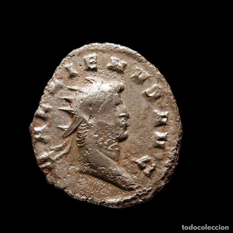 Monedas Imperio romano: Galieno (253-268 d.C.) VIRTVS AVG - P. Antoniniano. Roma.