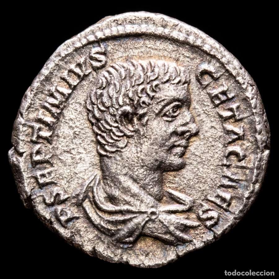 Monedas Imperio romano: Geta Caesar - Denario. Roma, 205-208 d.C. MINERVA PACIFERA / COS