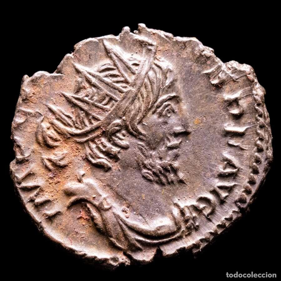 Monedas Imperio romano: Tetrico I (271-274 dC) antoniniano bronce Colonia SALVS AVGG