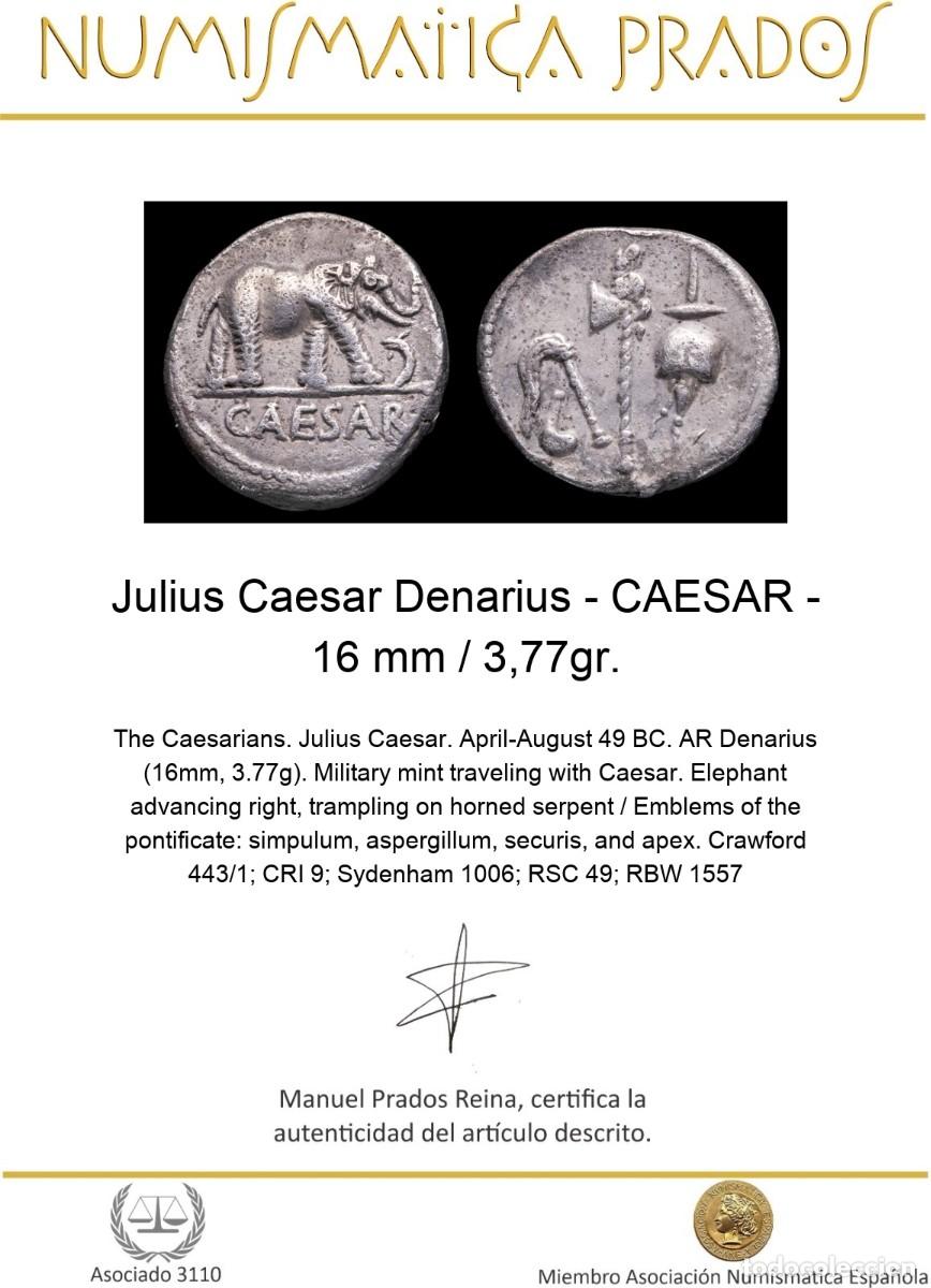 Monedas Imperio romano: Julius Caesar Denarius - CAESAR - 16 mm / 3,77gr. - Foto 2