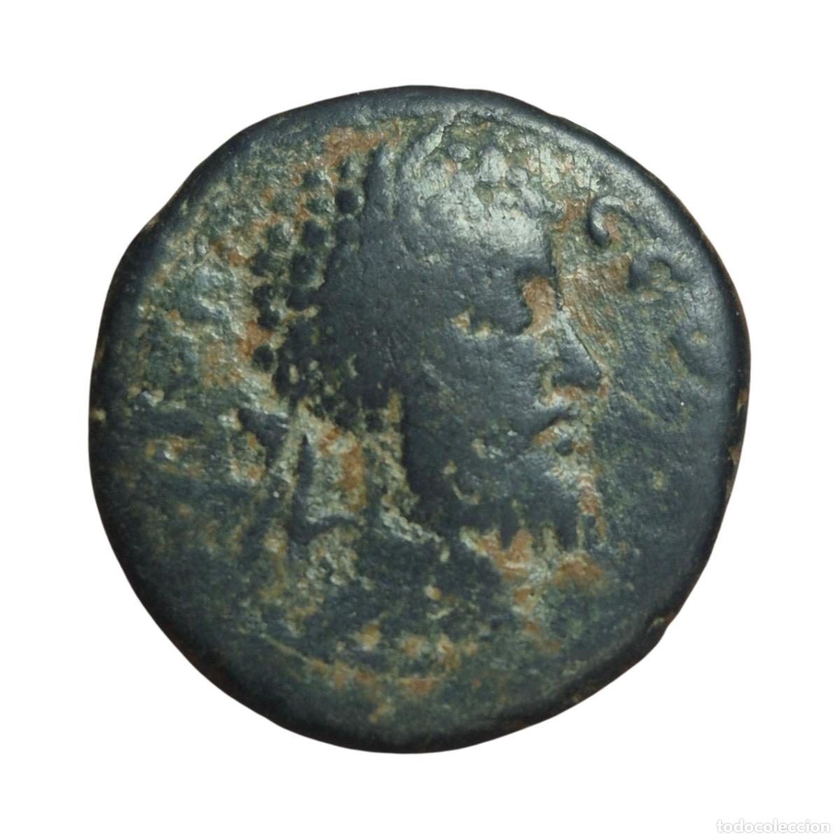 Monedas Imperio romano: NT/ BRONCE PROVINCIAL EDESA SEPTIMIO SEVERO (A1779)