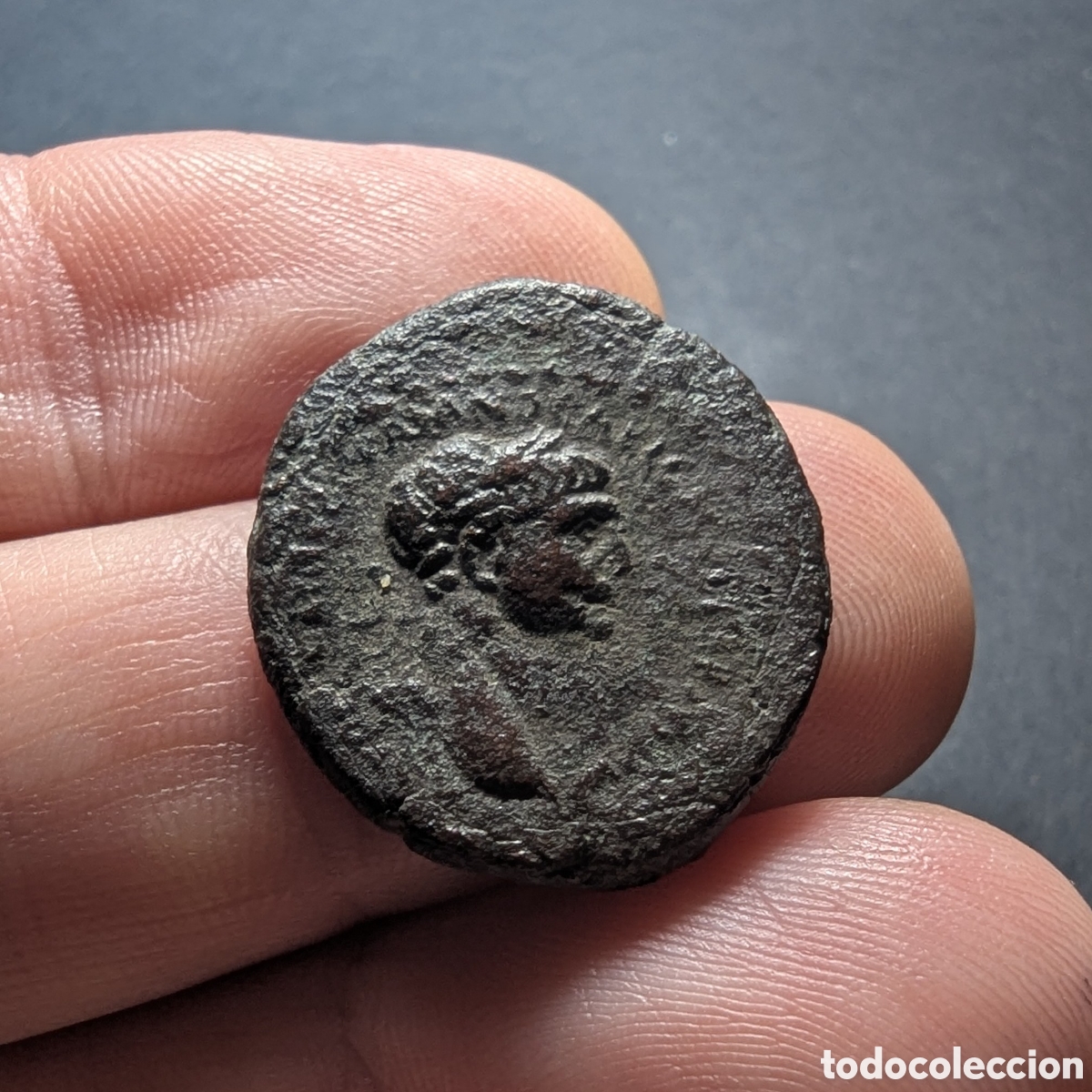 Monedas Imperio romano: Moneda provincial Trajano 98-117 d.C. Seleucia Pieria