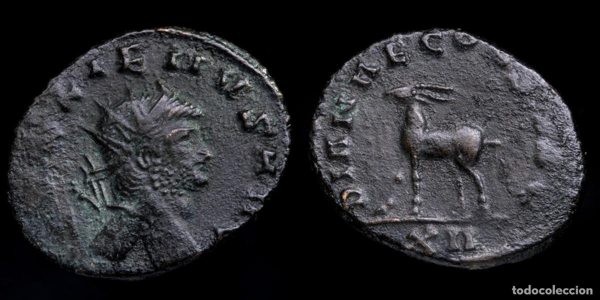 Monedas Imperio romano: Gallienus Antoninianus - DIANAE CONS AVG, Rome - 22 mm / 3,08 gr.GALLIENVS AVG, radiate, cuirassed b