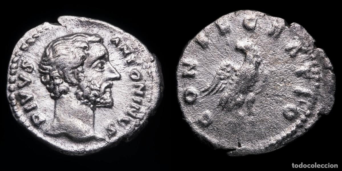 Monedas Imperio romano: Divus Antoninus Pius Denarius - CONSECRATIO - 20 mm / 3,08 gr.