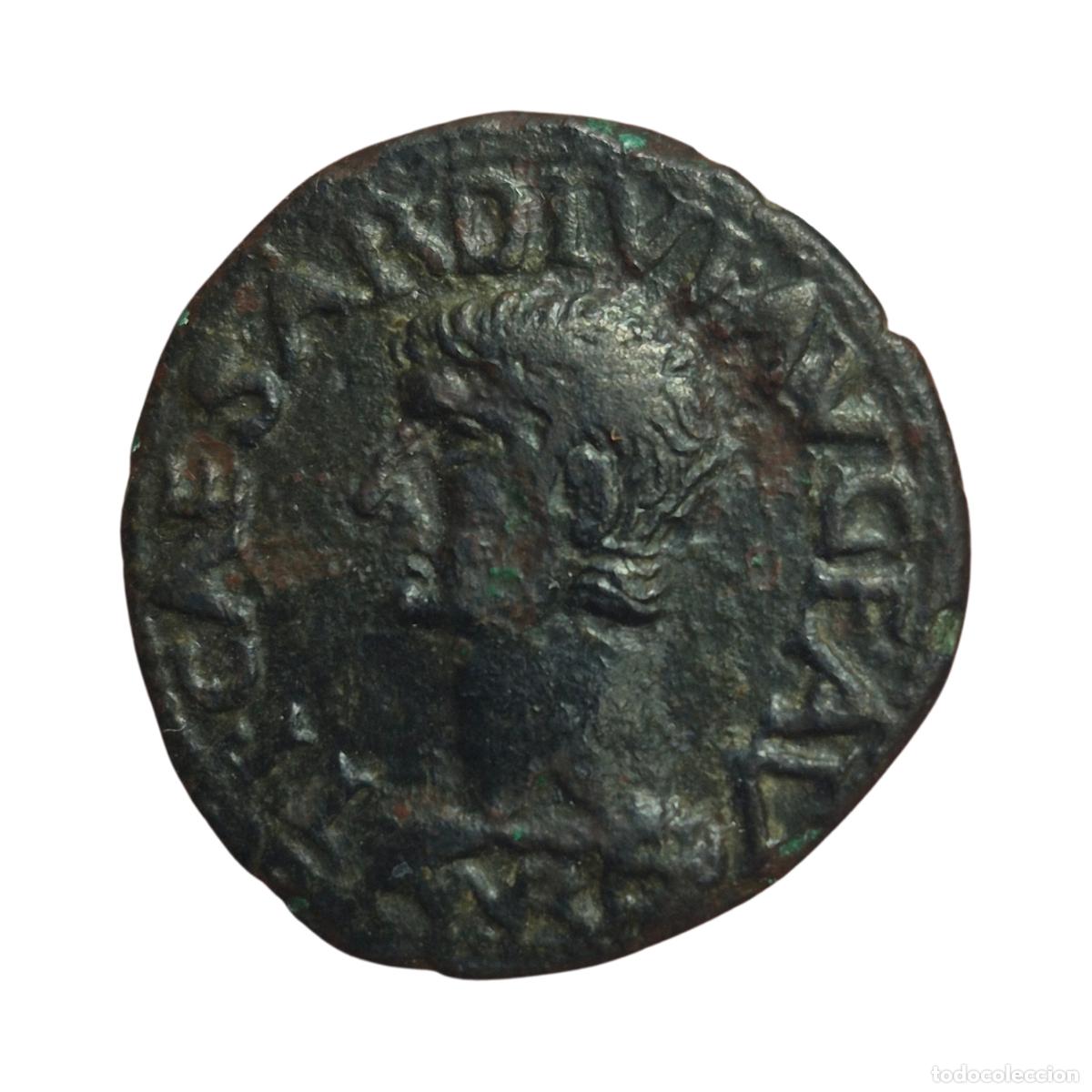 Monedas Imperio romano: NT/ SEMIS TIBERIO ILICI (A1809) - Foto 1