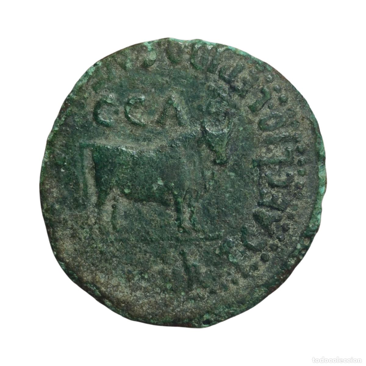 Monedas Imperio romano: NT/ AS TIBERIO CAESARAUGUSTA (A1811) - Foto 2