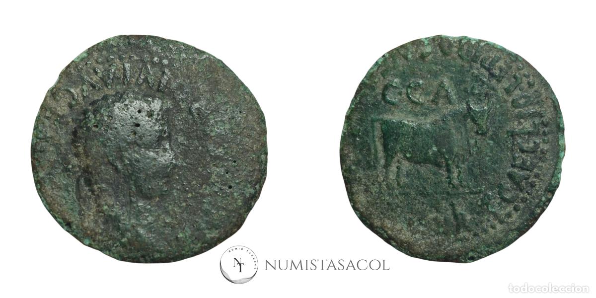 Monedas Imperio romano: NT/ AS TIBERIO CAESARAUGUSTA (A1811) - Foto 3