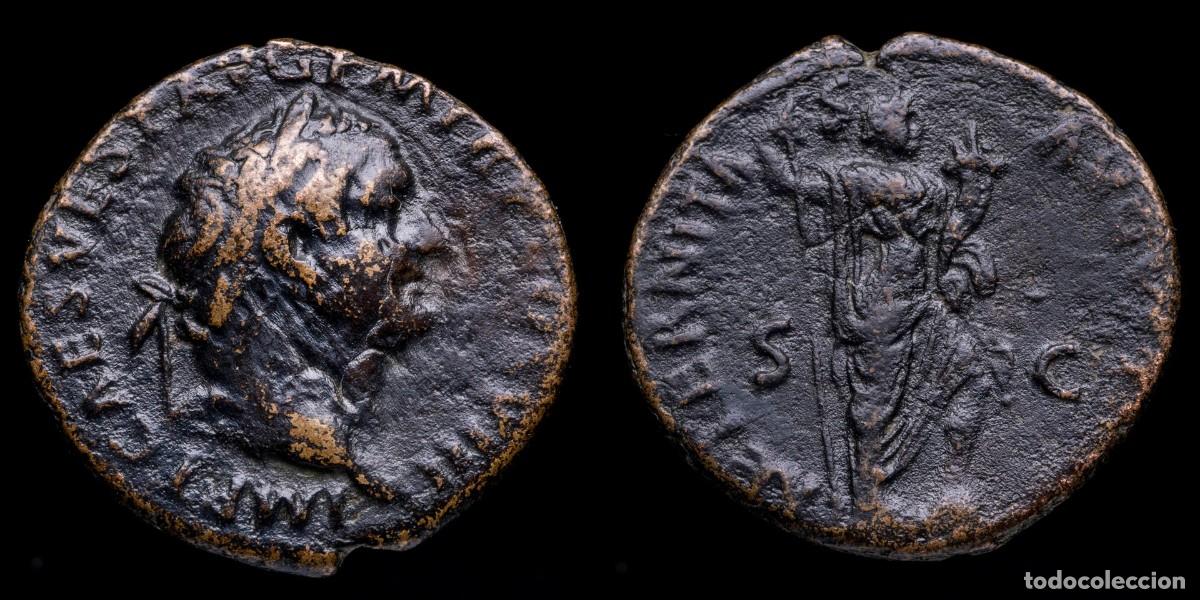 Monedas Imperio romano: Titus As - AETERNITAS AVGVSTI SC - 25 mm / 6,90 gr.