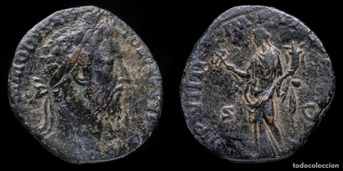 Monete Impero Romano: Commodus Sestertius - TR P VIII IMP VI COS IIII P P - 28 mm / 17,76 gr.