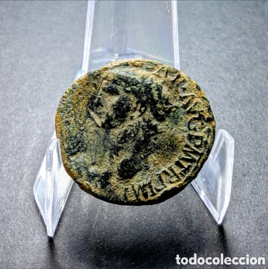 Monedas Imperio romano: As Claudio I 41-50 d.C. &rdquo;Constantiae Avgvsti&rdquo;