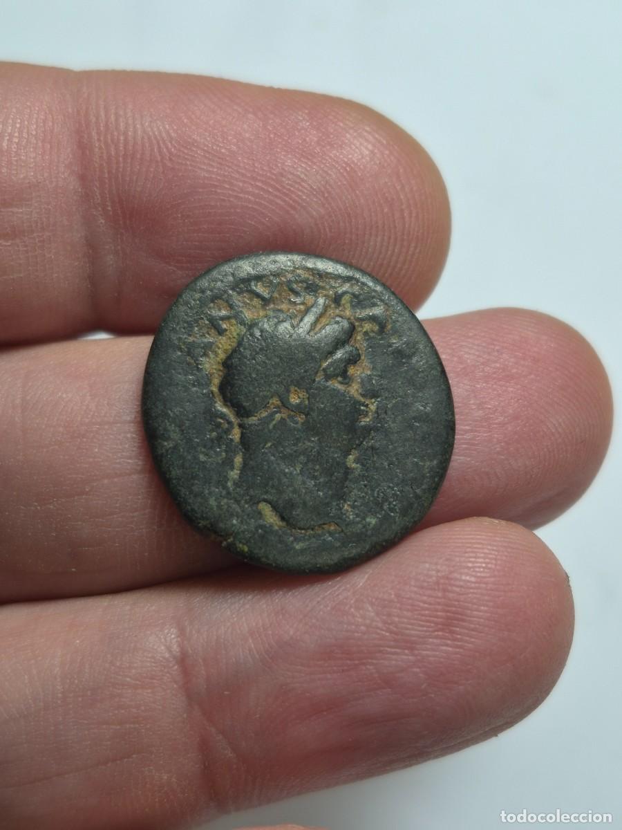 Monedas Imperio romano: NT/ BRONCE GRECORROMANO VESPASIANO ANTIOQUIA 7,03 GRS (A1865)
