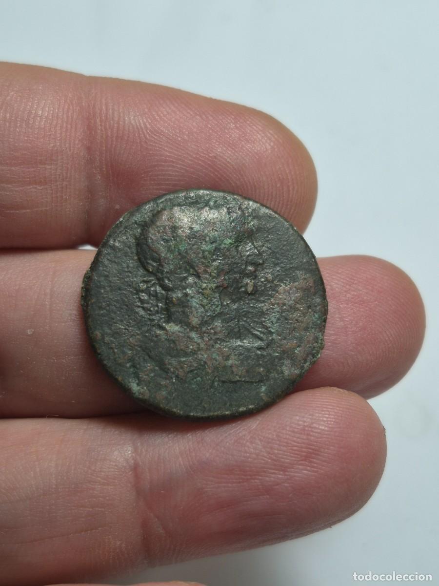 Monedas Imperio romano: NT/ BRONCE GRECORROMANO TRAJANO ANTIOQUIA 12,07 GRS (A1866)