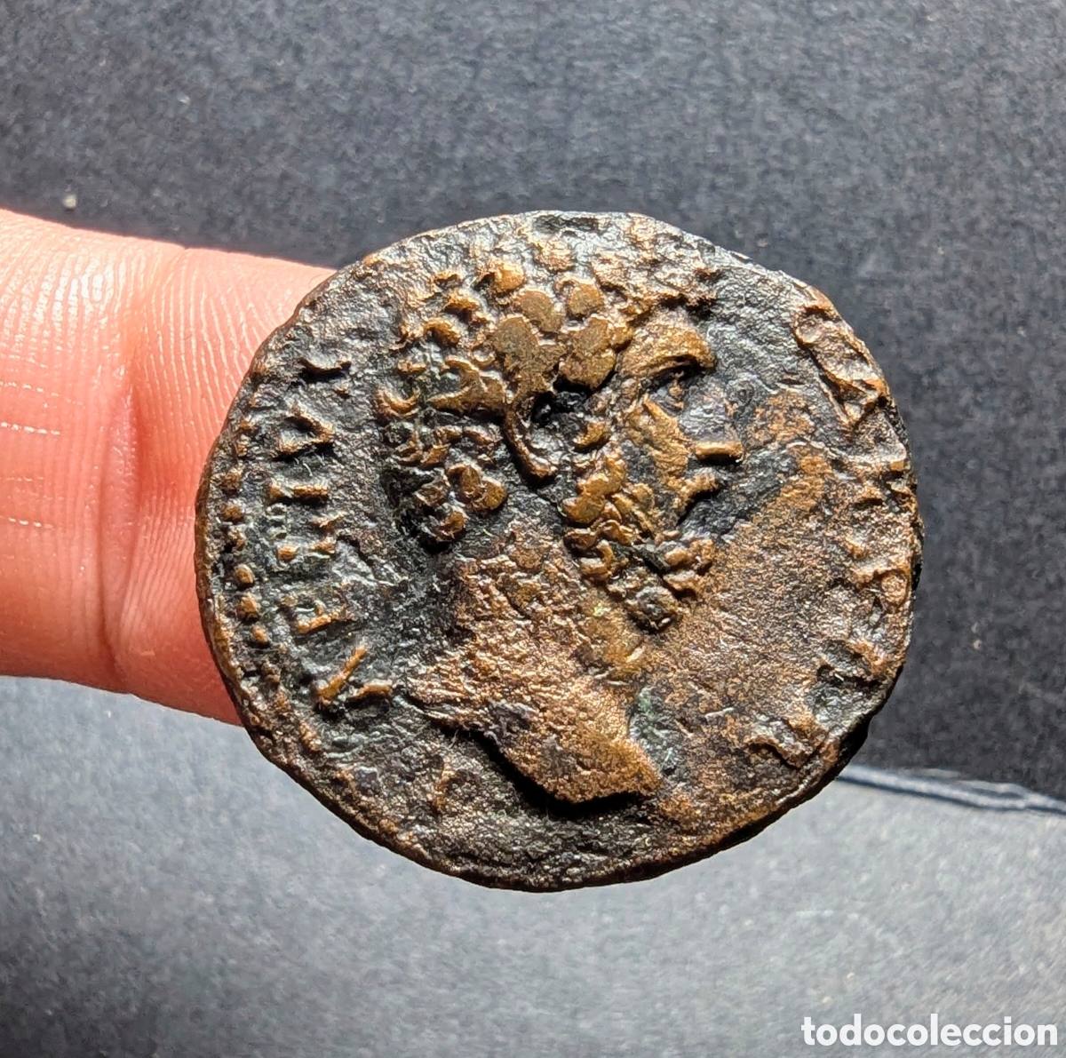 M&uuml;nzen R&ouml;misches Reich: As Aelio/Elio 137 d.C.