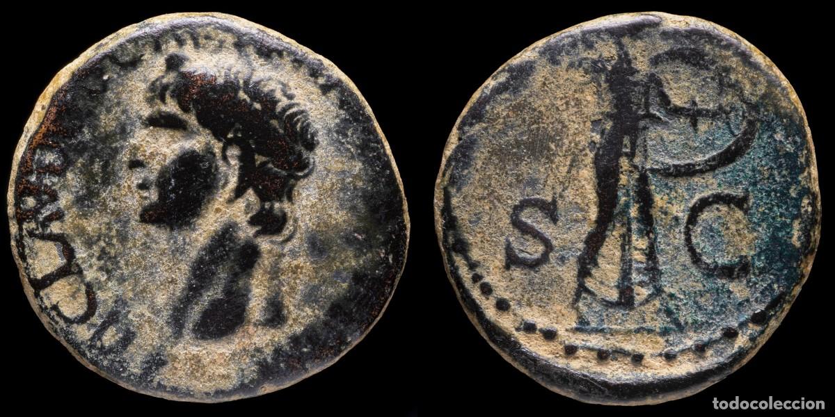Monedas Imperio romano: Claudius As - MINERVA SC - 26 mm / 11,57 gr.