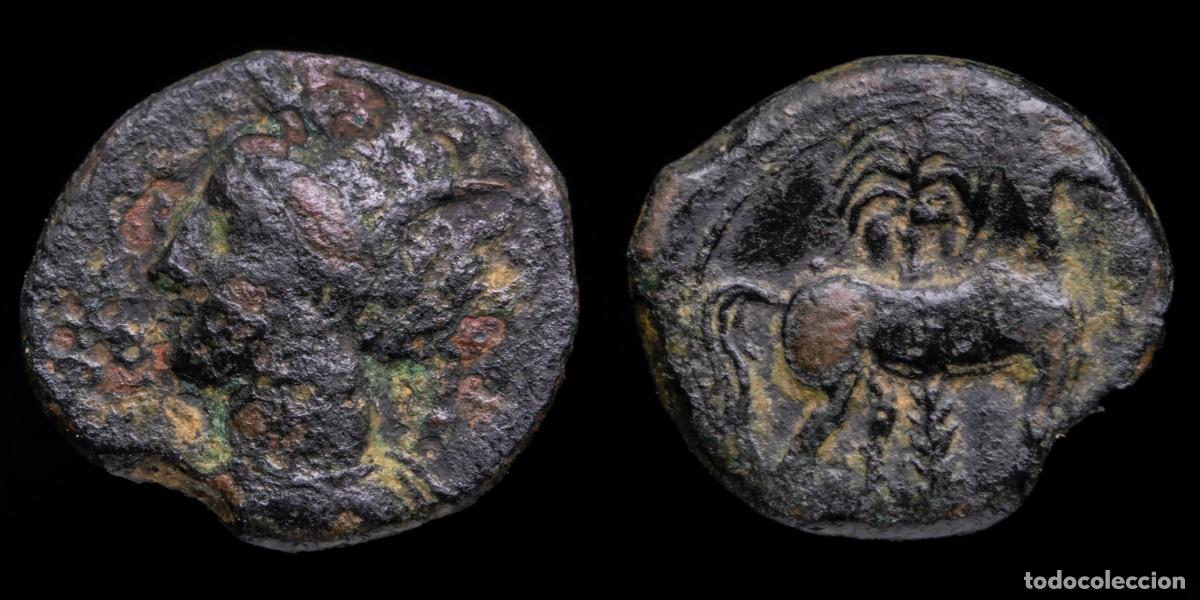 Monedas Imperio romano: Cartagena, Hispanic-Carthaginian 1/2 Calco - 16 mm / 2,73 gr.