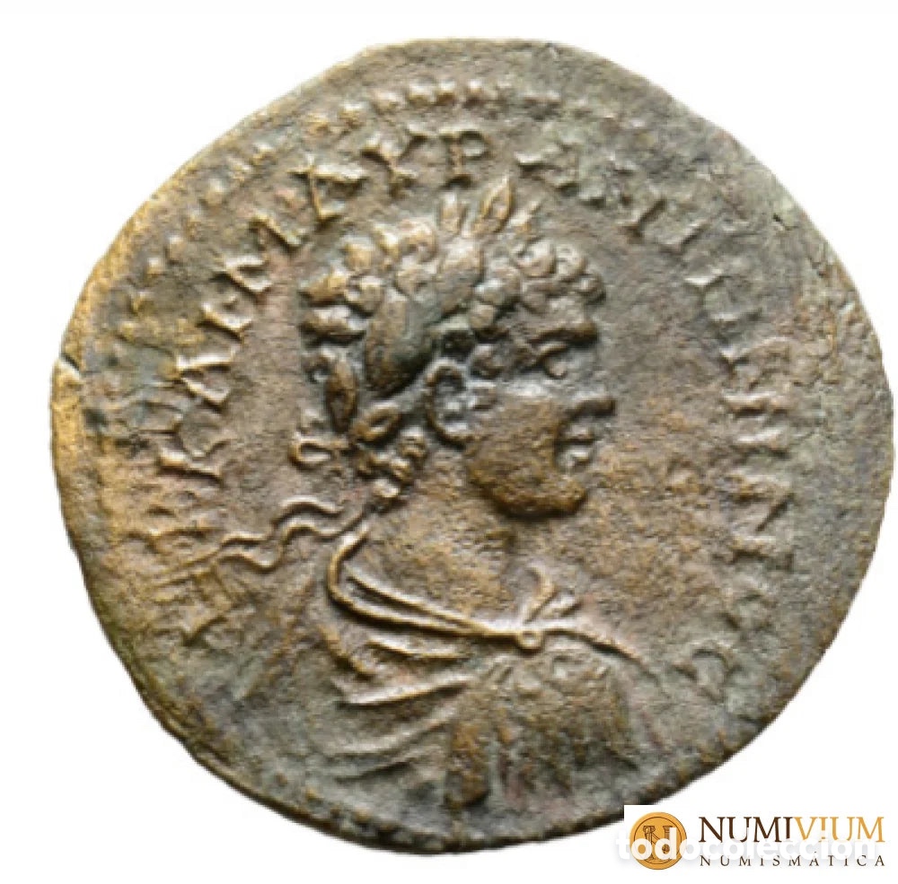 Monedas Imperio romano: Imperio Romano &middot; Caracalla. Gran Bronce de Amasia. 205/206 d.C