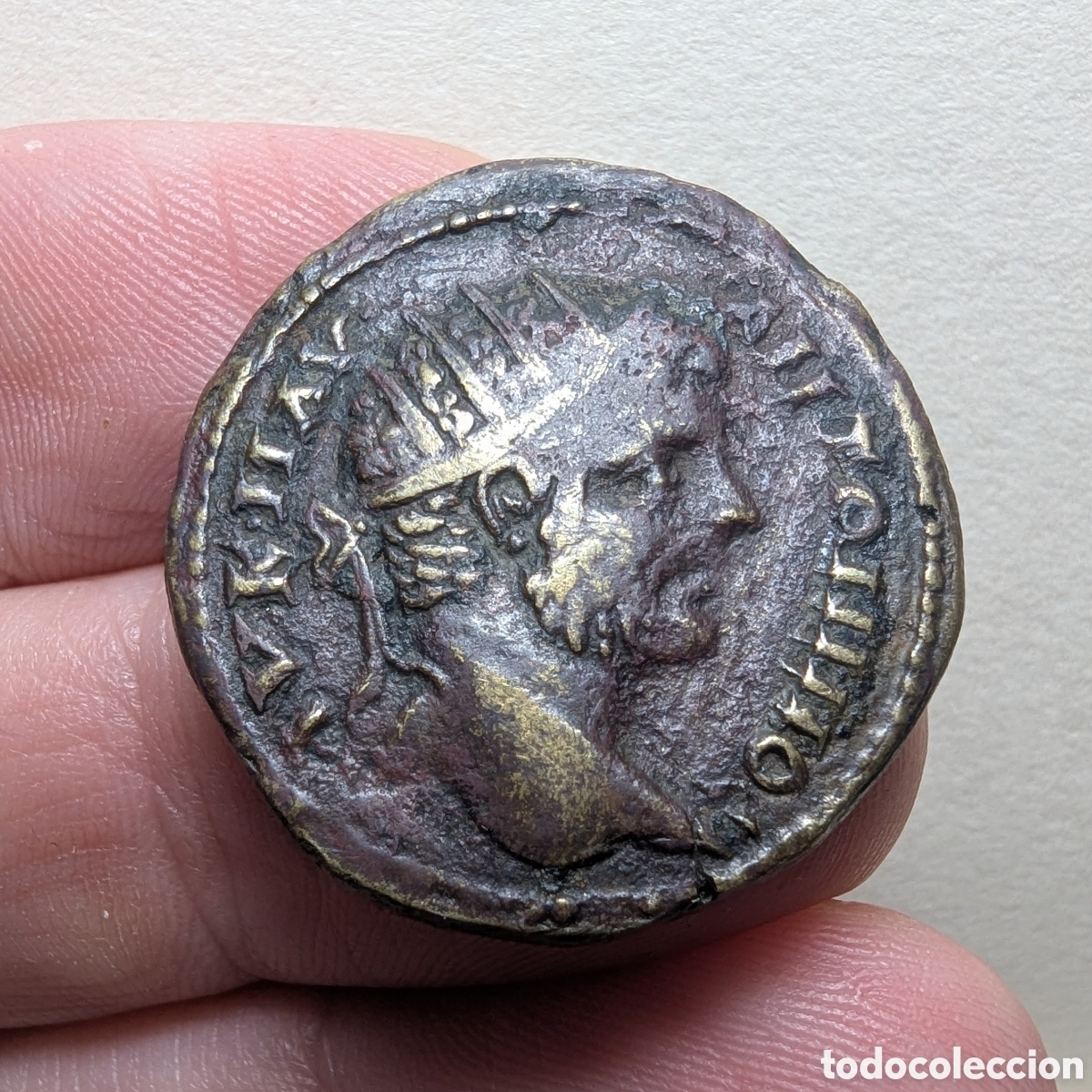 Monedas Imperio romano: Tetrassarion Caracalla 198-217 d.C. Tomis