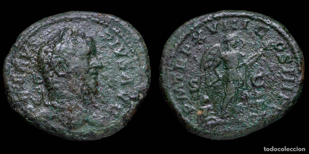 Monedas Imperio romano: Septimius Severus As - P M TR P XVIII COS III P P SC - 26 mm / 10,22 gr.