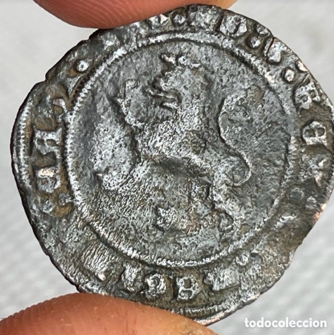 Monedas medievales: Moneda de los reyes Cat&oacute;licos