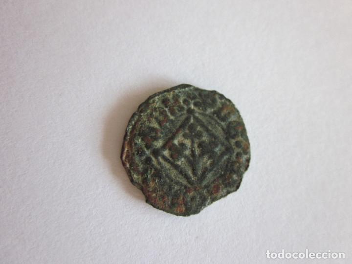 Monedas medievales: Pugesa de LLeida. Fernando II. - Foto 1 - 108377339
