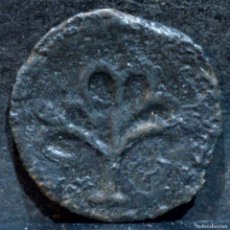 Monedas medievales: ½ MEDIA PUGESA DE LLEIDA MUY RARA. Lote 393913639