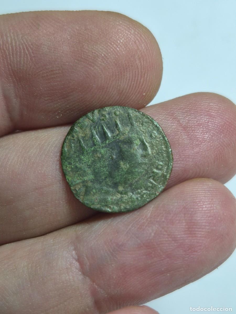 Monedas medievales: NT/ CAVALLO FERDINANDO DE ARAGON 1458-1494 NAPOLES (A1285)