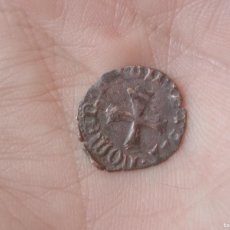 Monedas medievales: CORNADO DE JUAN Y CATALINA. NAVARRA. LEYENDA MUY VISIBLE