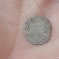 Monedas medievales: FELIPE EL HERMOSO. REY CONSORTE DE JUANA DE NAVARRA