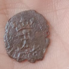 Monedas medievales: NAVARRA. BUEN DINERO DE FERNANDO EL CATÓLICO