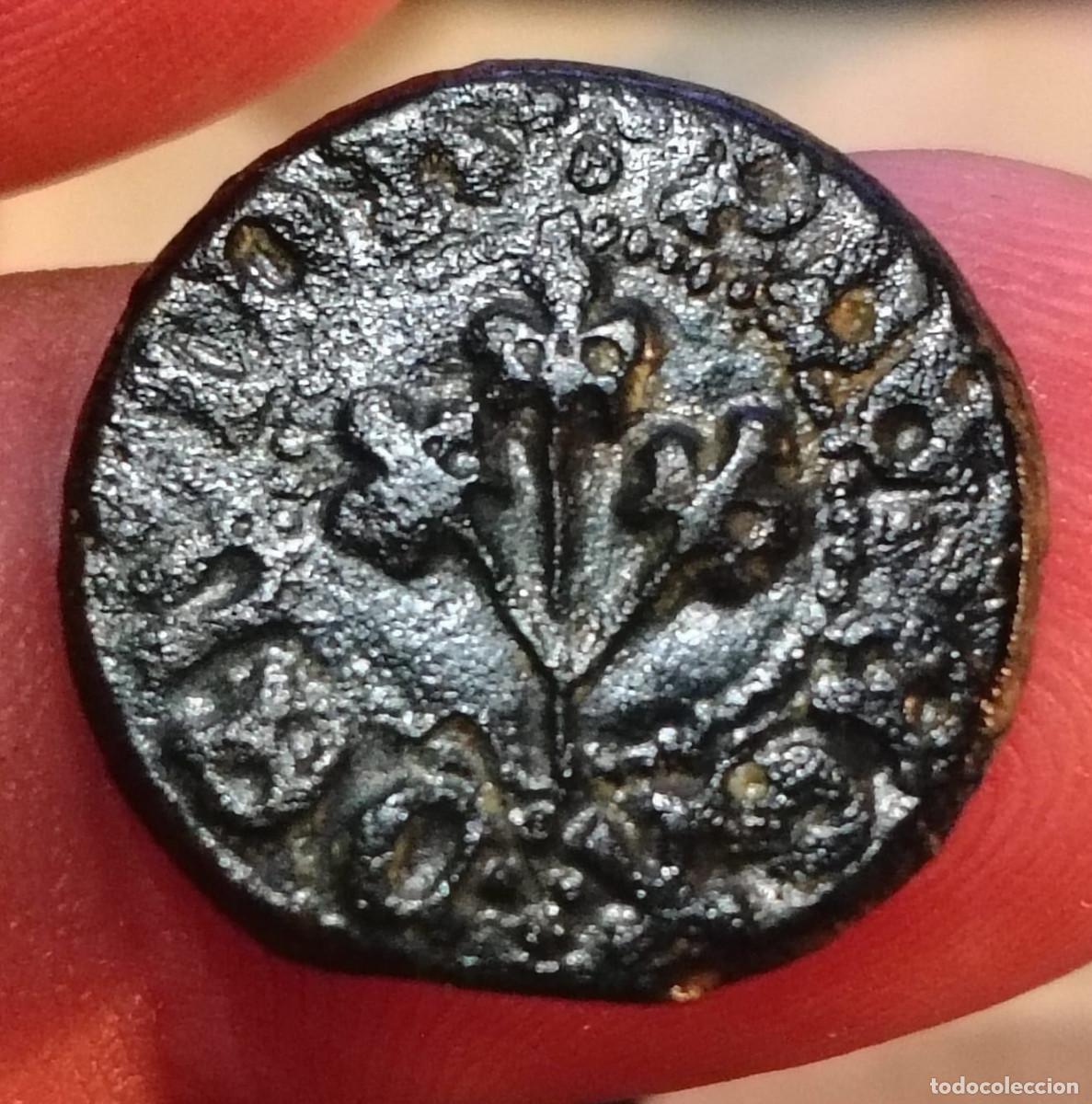 Monedas medievales: XS- LLEIDA Pugesa Segles XV-XVI Variant BONICA