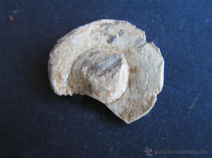 Monedas medievales: PRECINTO DE PLOMO .MEDIEVAL ( A g&Ouml;tica ) - Foto 3