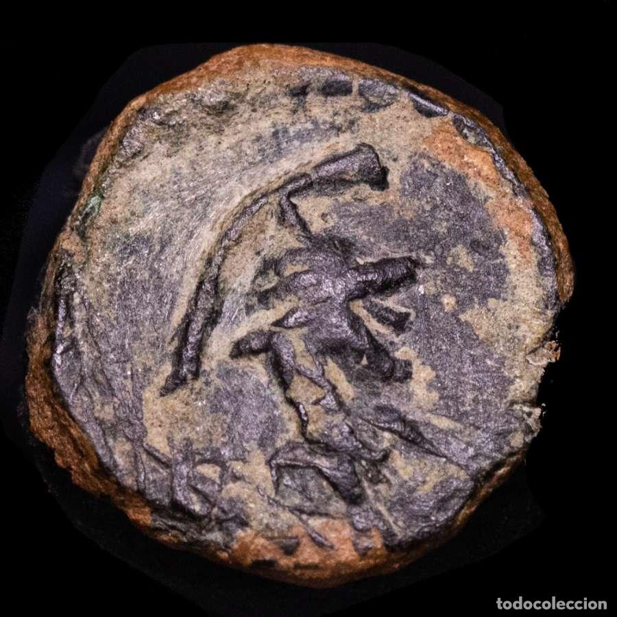 Monedas medievales: Hispania Antigua, Massalia. &AElig;12. 49-25 a.C. Minerva / caduceo alado