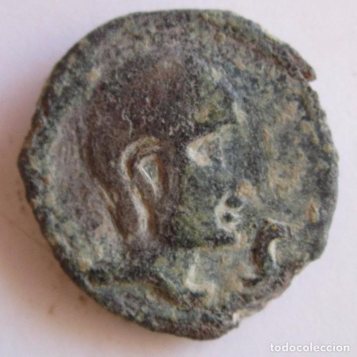 Monedas Roma Rep&uacute;blica: SEMIS CASTULO 8GR.180AC. - Foto 1