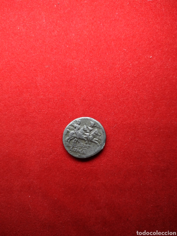 Monedas Roma Rep&uacute;blica: Denario Sempronius Pitio - Foto 3