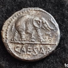 Monedas Roma República: DENARIO JULIO CESAR, ELEFANTE