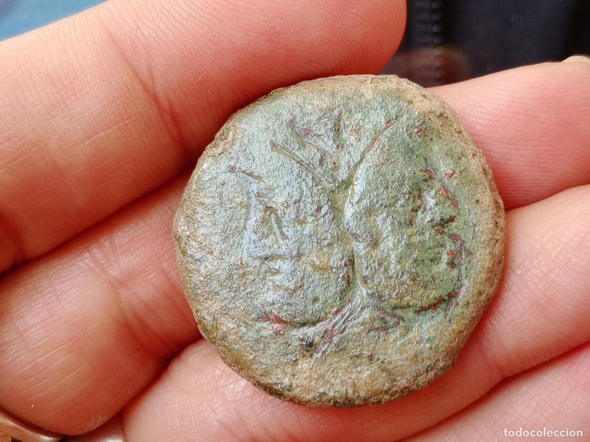 Monedas Roma Rep&uacute;blica: AS romano, Rep&uacute;blica romana, Jano Bifronte - Foto 1