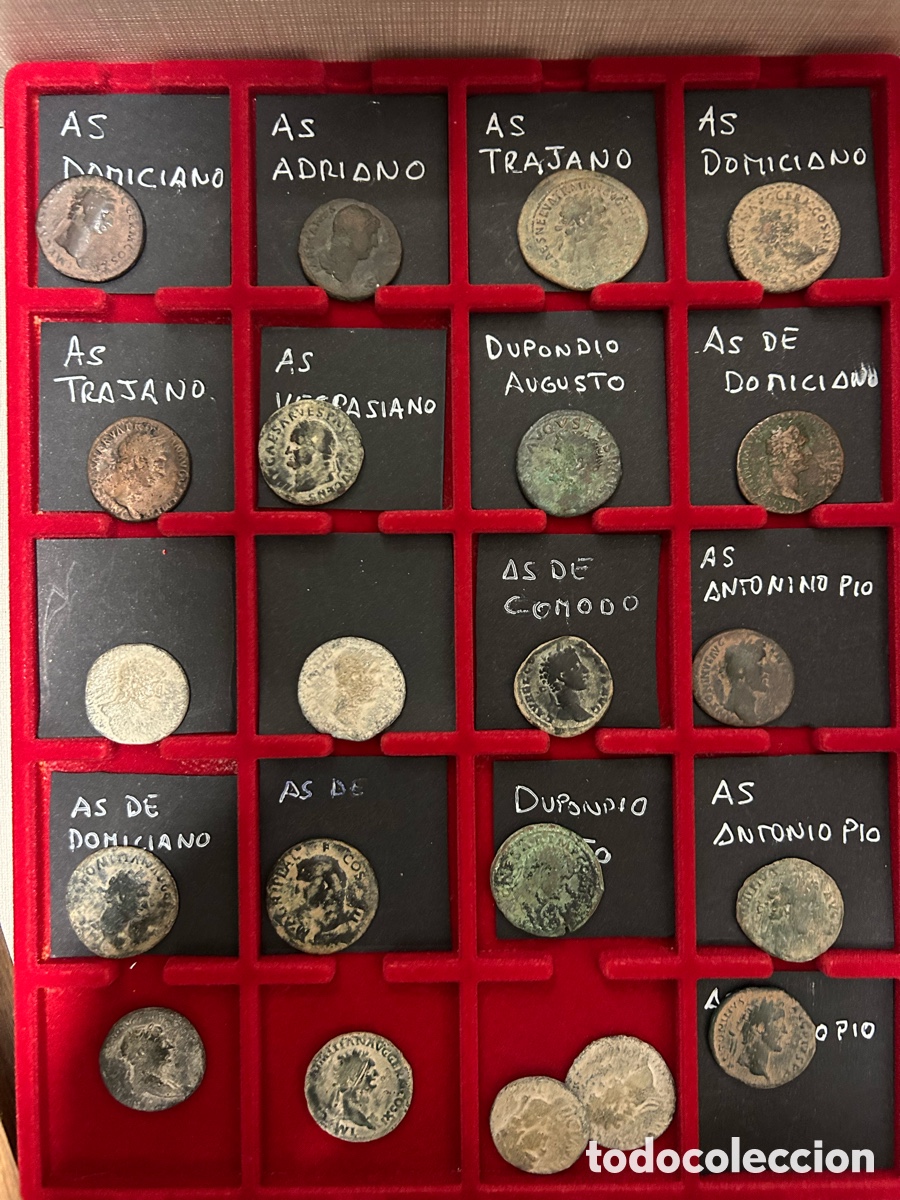 Monedas Roma Rep&uacute;blica: Lote de ases y dupondios