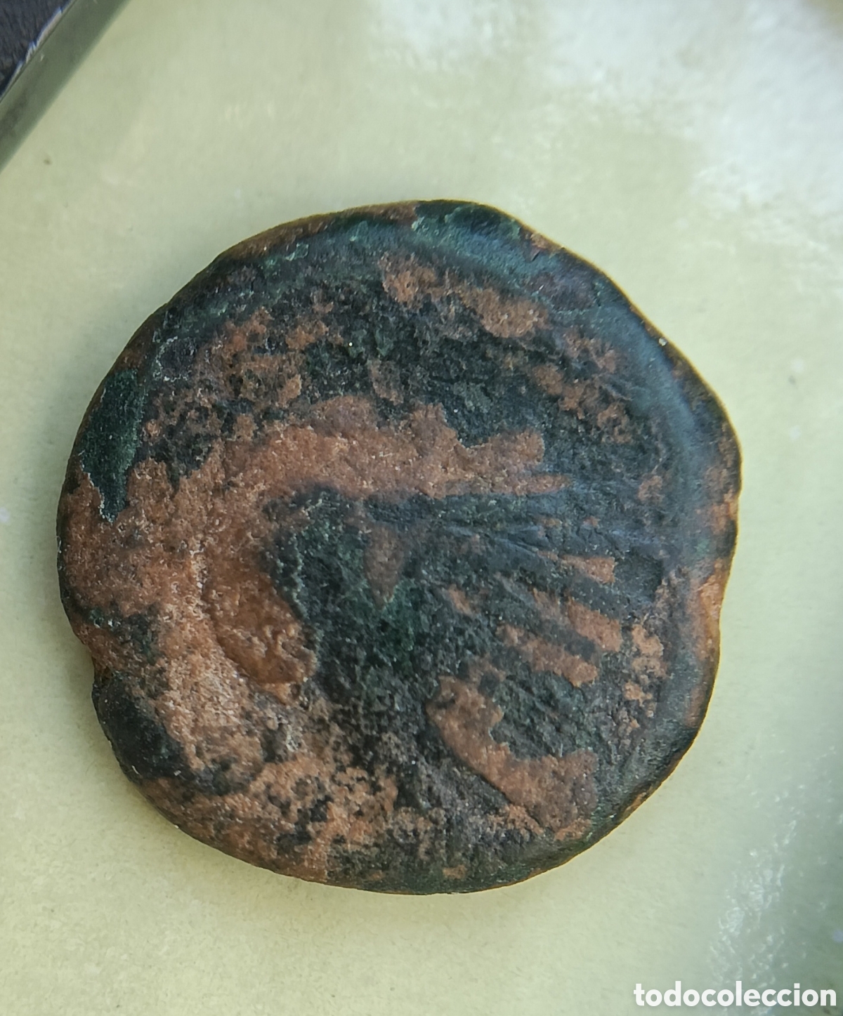 Monedas Roma Rep&uacute;blica: Moneda romana ,Sextante ,delf&iacute;n y concha , Sagunto , valencia