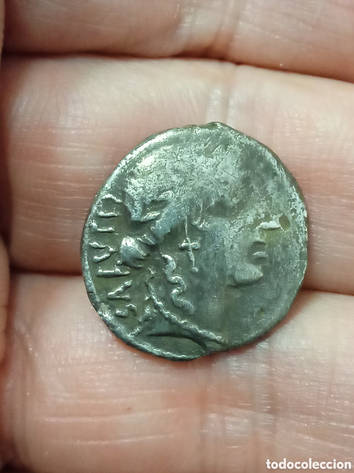 Monedas Roma Rep&uacute;blica: DENARIO DE LA FAMILIA ACILIA (55 A.C.) CAT&Aacute;LOGO CALIC&Oacute; N.66