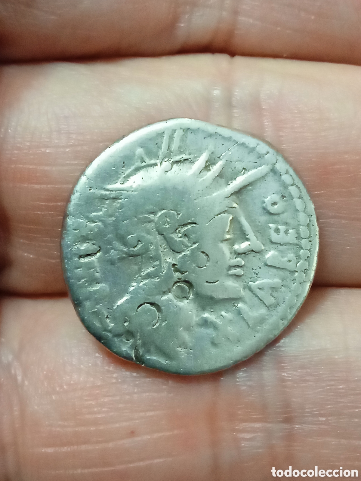 Monedas Roma Rep&uacute;blica: RARO DENARIO FAMILIA FABIA (109 A.C.) CAT&Aacute;LOGO CALIC&Oacute; N.571 variante por posici&oacute;n de la proa de nave