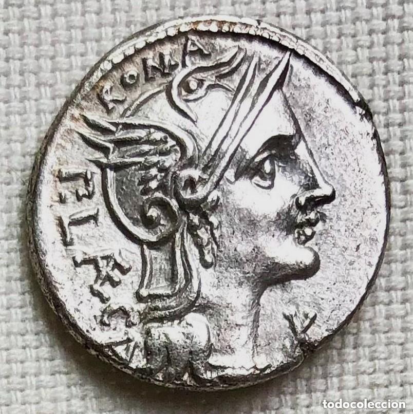 Moedas Roma Rep&uacute;blica: Bonito Denario Familia PORCIA - P. Porcius Laeca A&ntilde;o 110-109 Antes de Cristo Plata