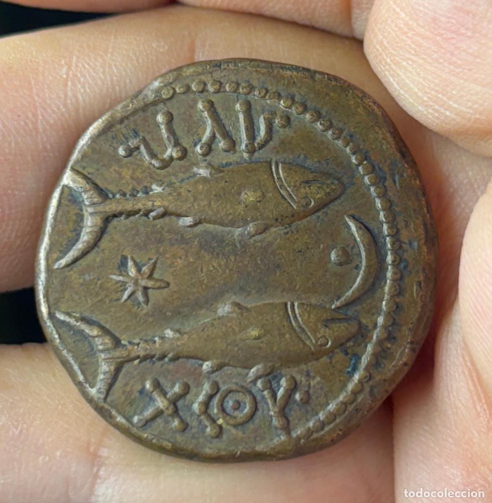 Monedas Roma Rep&uacute;blica: Moneda romana. Cabeza de Melqart/ Dos atunes. S.II a.C.