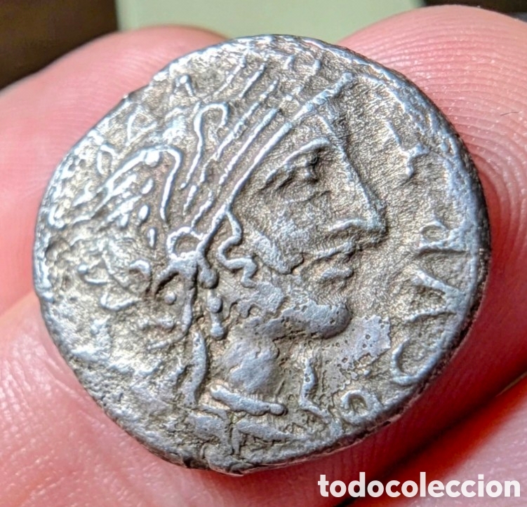 Monedas Roma Rep&uacute;blica: Denario &rdquo;incuso&rdquo; Gens Curtia 116-115 a.C.