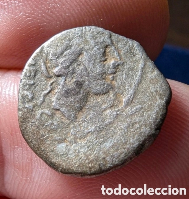 Monedas Roma Rep&uacute;blica: Quinario Gens Egnatuleia 97 a.C.